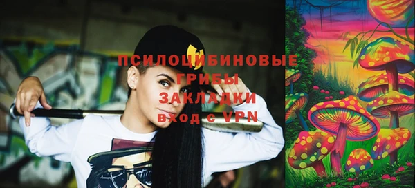 винт Елабуга
