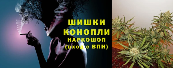 ПСИЛОЦИБИНОВЫЕ ГРИБЫ Нестеровская